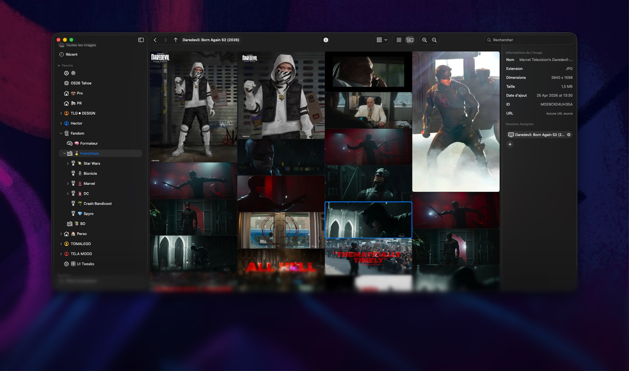 Eyrie app interface